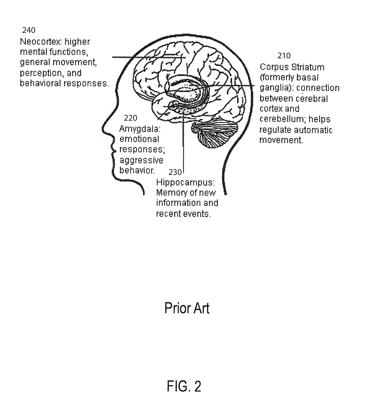 Method and apparatus for constructing a neuroscience-inspired artificial neural network