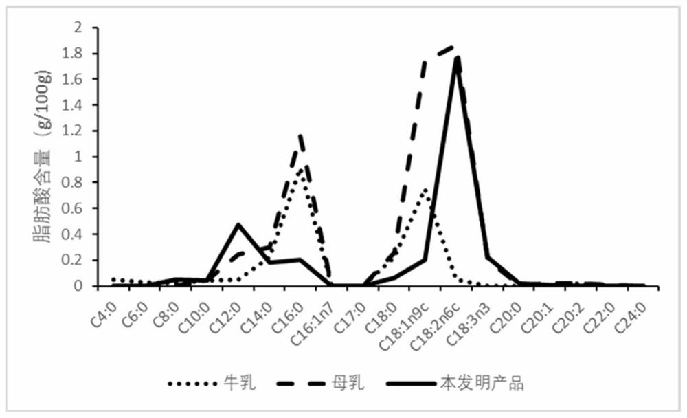 Protein solid beverage and preparation method thereof