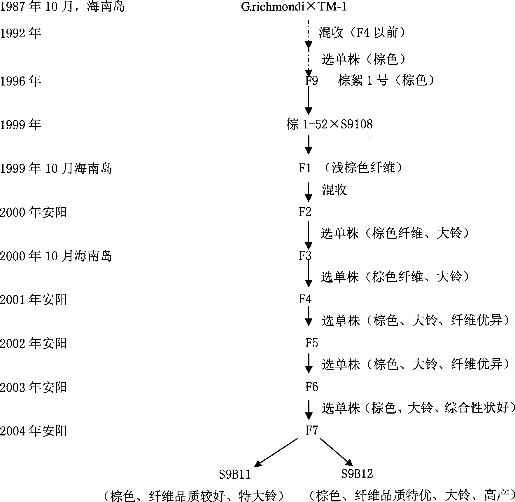 Breeding method for high-quality brown fibre new species of cotton