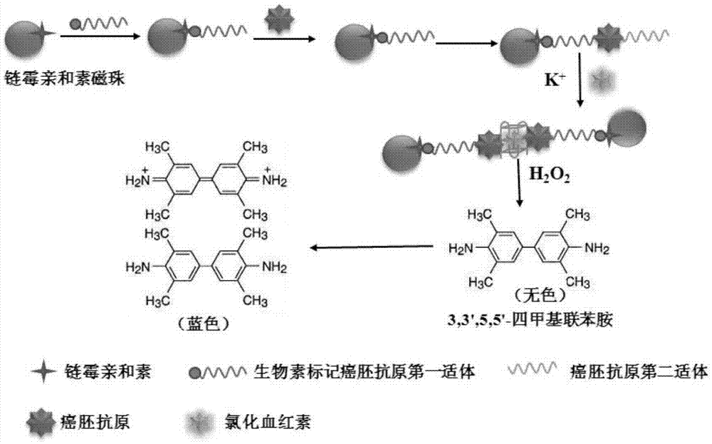 Carcinoembryonic antigen detection kit based on nucleic acid aptamer autocatalysis effect, and preparation method thereof