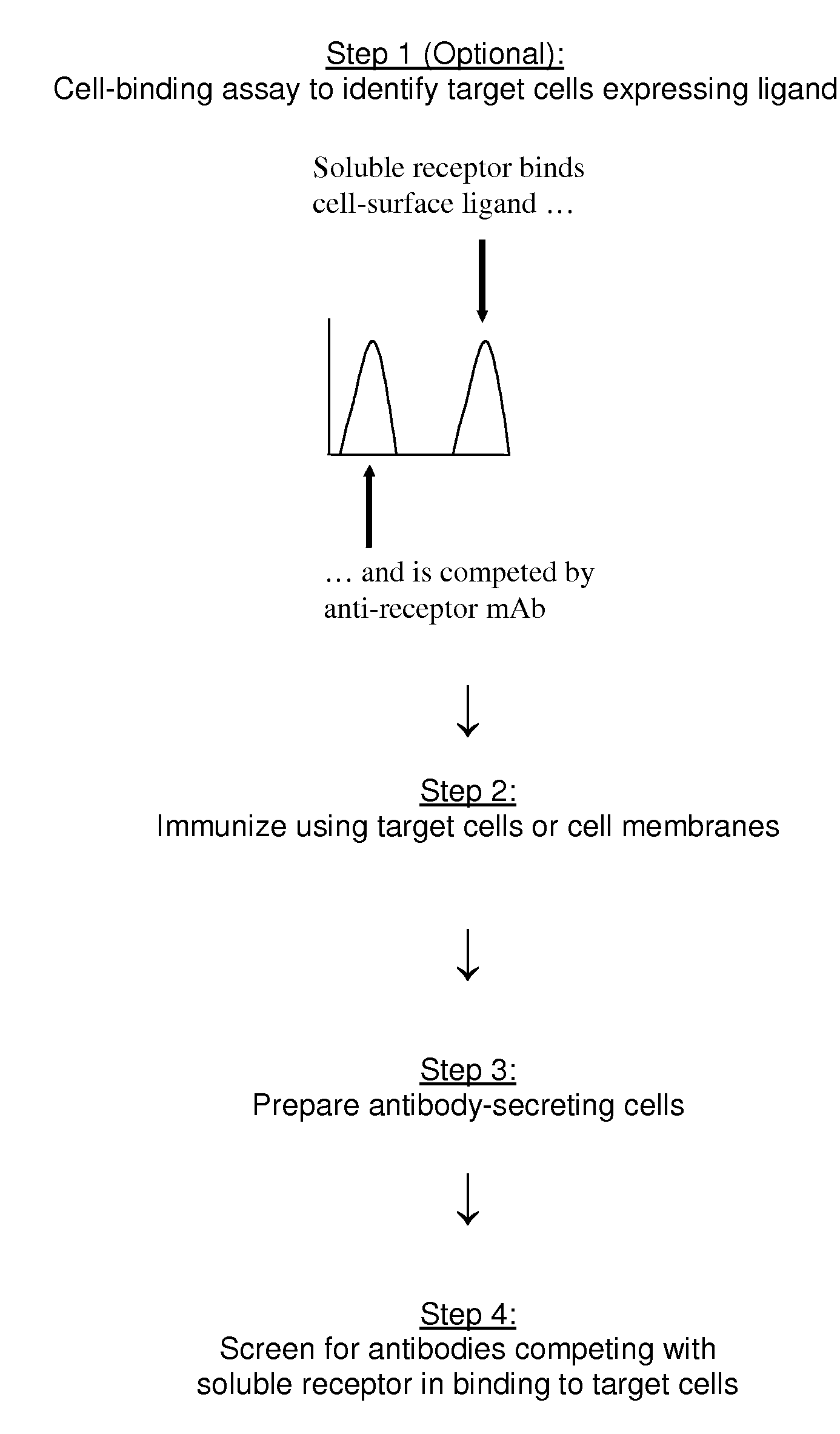 Methods of Identifying Antibodies to Ligands of Orphan Receptors