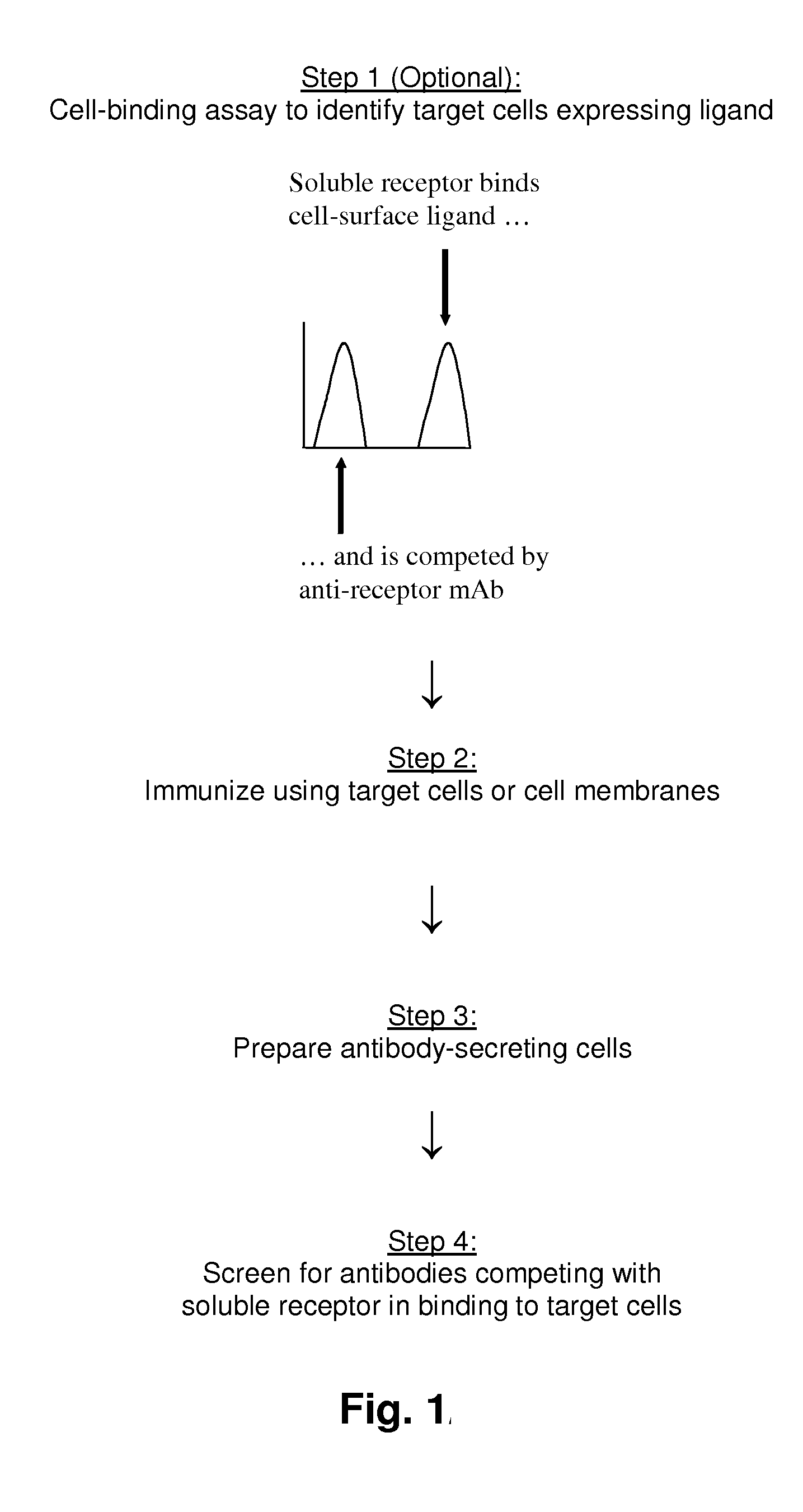 Methods of Identifying Antibodies to Ligands of Orphan Receptors