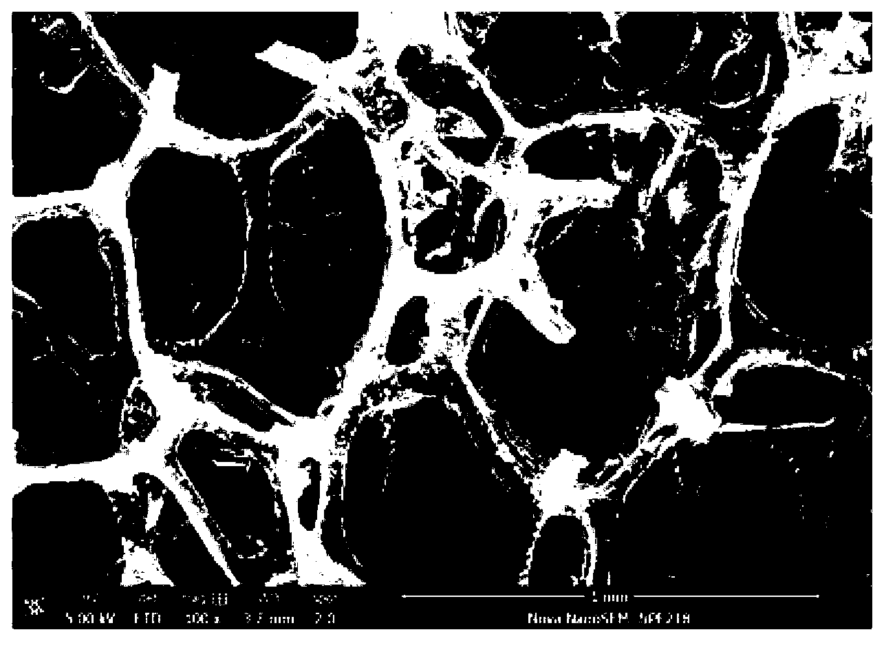 Flexible polymer-based graphene foam material and preparation method thereof