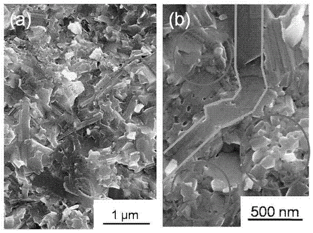 Method for improving thermoelectric properties of bismuth sulfide polycrystal