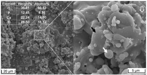 Nano structure hydroxyapatite/titanium composite coating and preparing method thereof