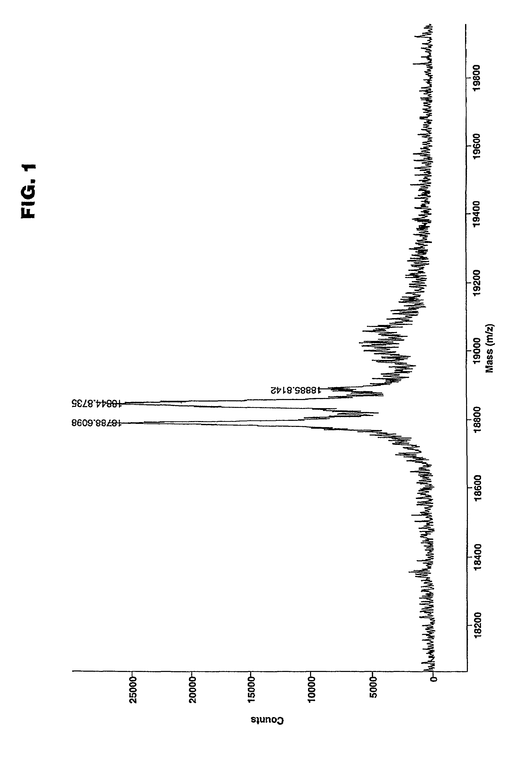 Production of a parvovirus vaccine in plants as viral coat protein fusions