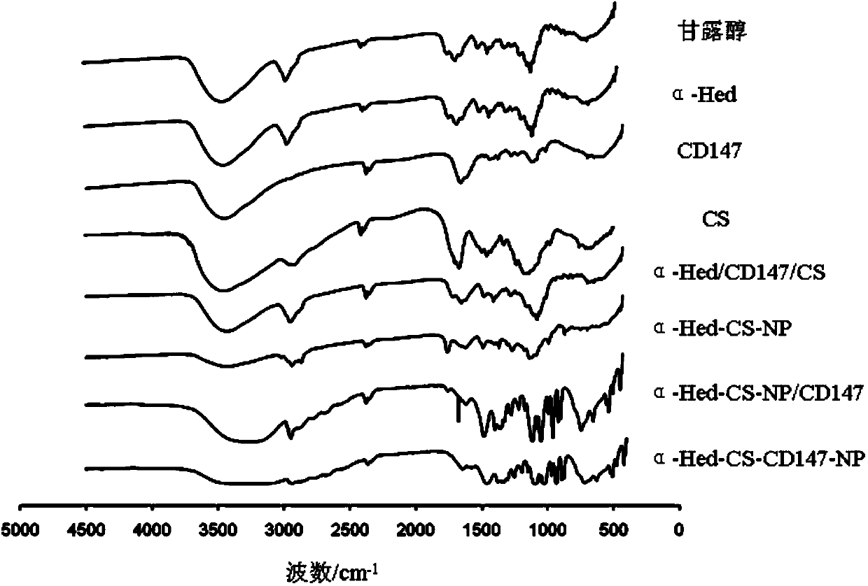 Alpha-Hed-CS-CD147 nanoparticles as well as preparation method, application and preparation thereof