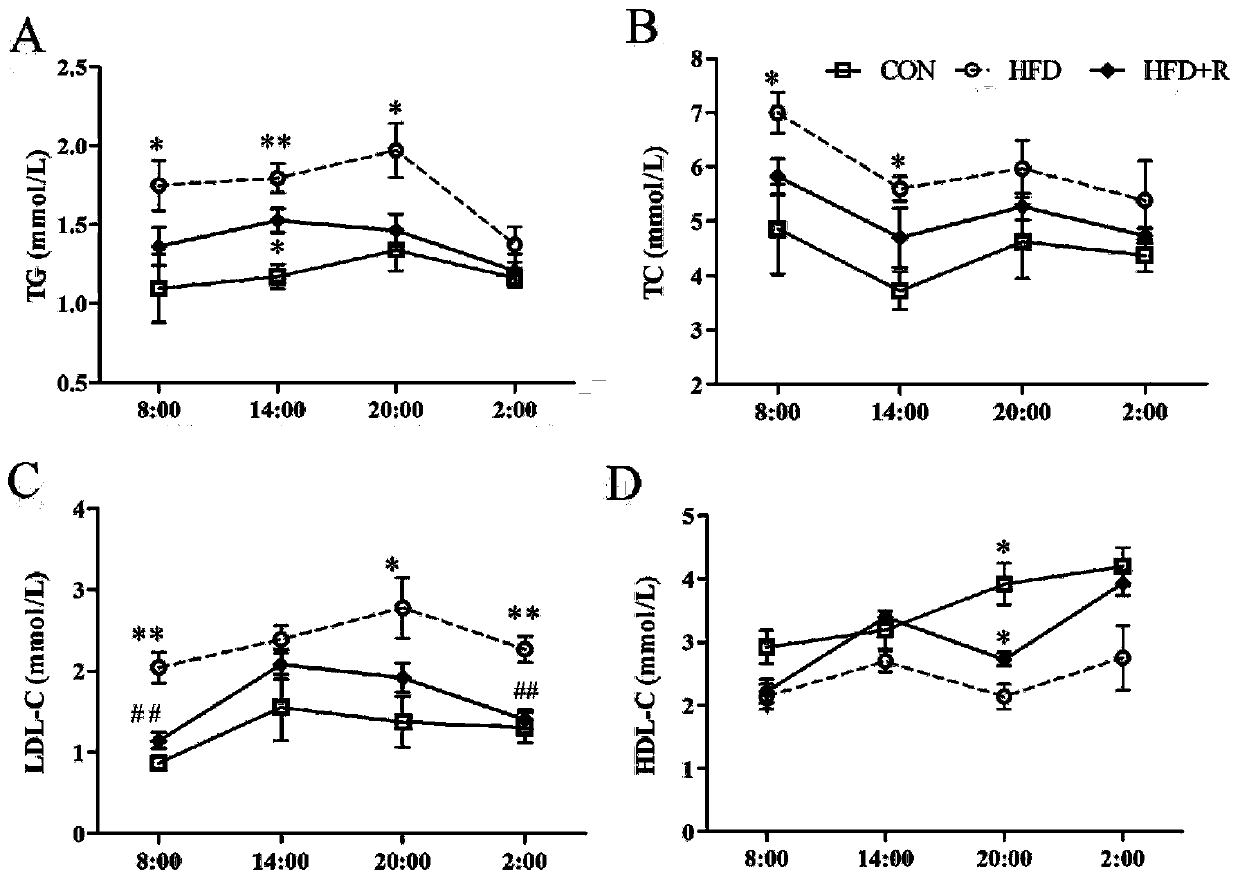 Application of a breast milk-derived Lactobacillus reuteri in reducing lipids and regulating lipid metabolism rhythm