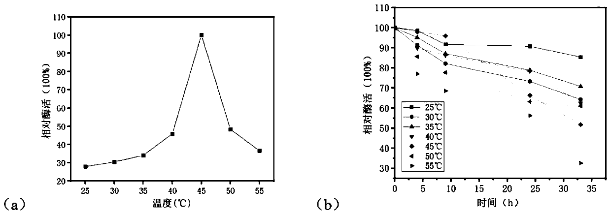 Chitinase CmChi6 gene and cloning expression and application thereof