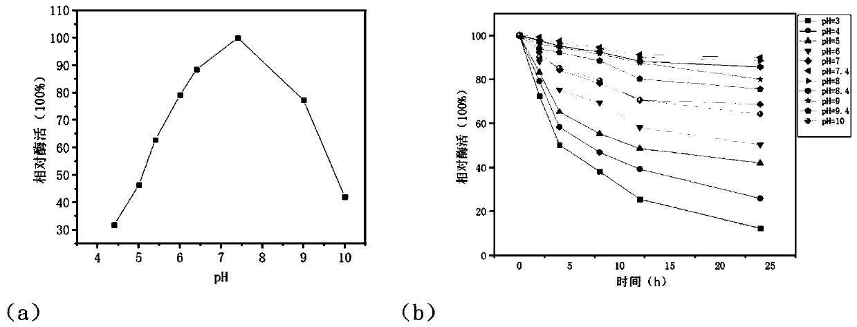 Chitinase CmChi6 gene and cloning expression and application thereof