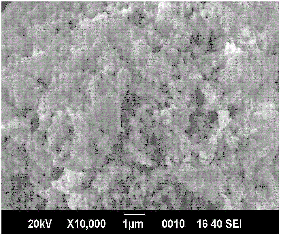 Double-function oxygen electrode catalyst of lithium air battery