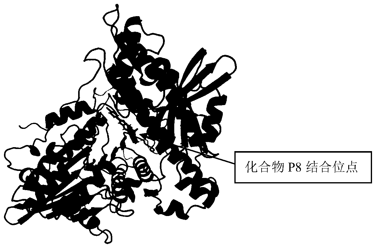 Polyphosphate kinase targeting inhibitor P8