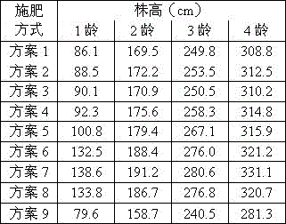 A special fertilizer for betel nut juvenile stage and preparation method thereof