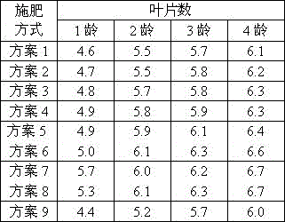 A special fertilizer for betel nut juvenile stage and preparation method thereof