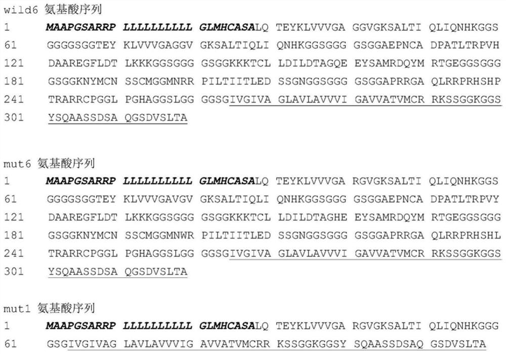 Universal polypeptide vaccine and application thereof in preparation of medicine for treating/preventing pancreatic cancer