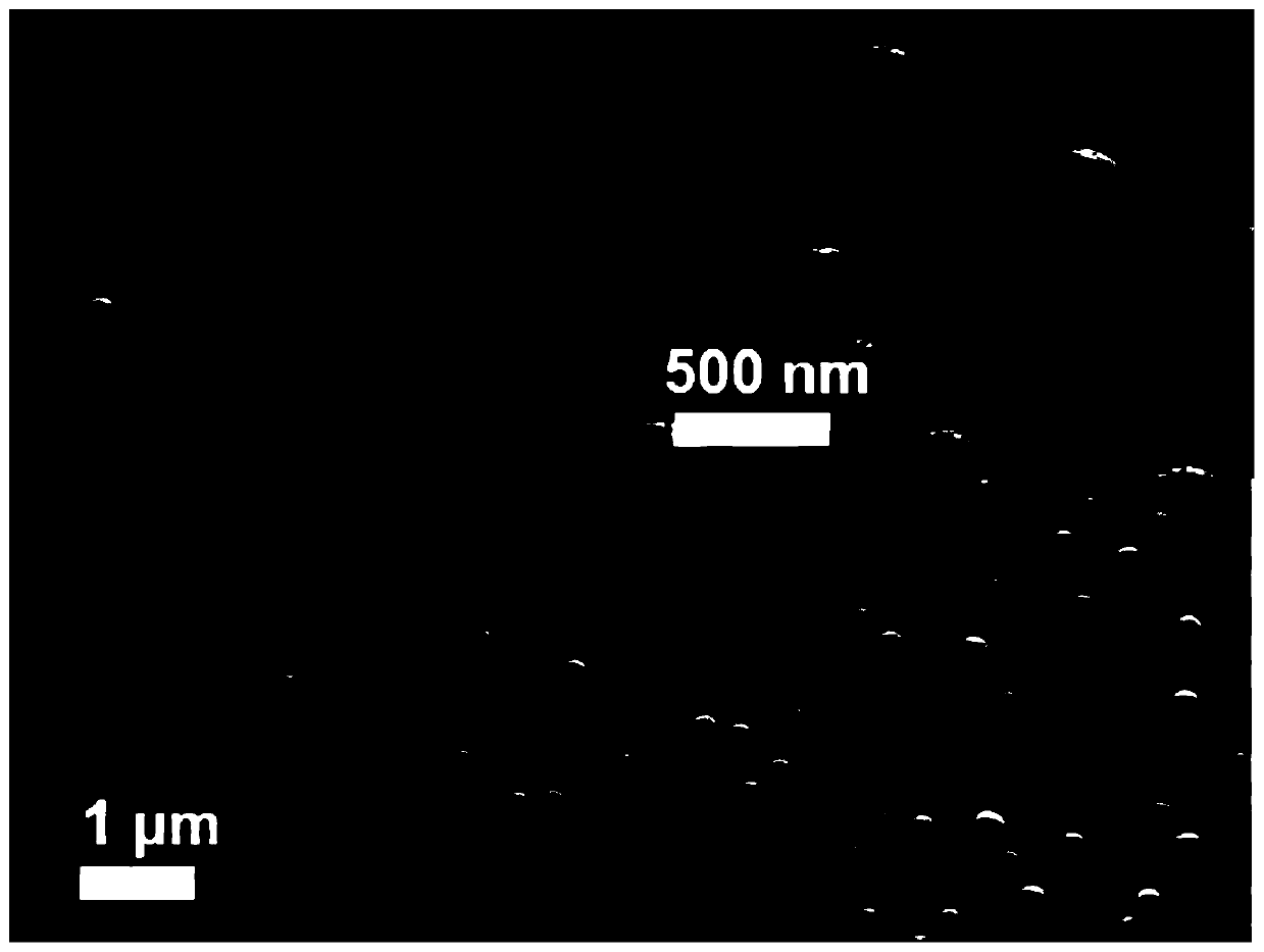 Multivariate detection method based on quantum dot fluorescent nanospheres