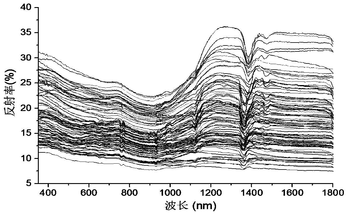 Anshan-style iron ore type determination method based on spectral features