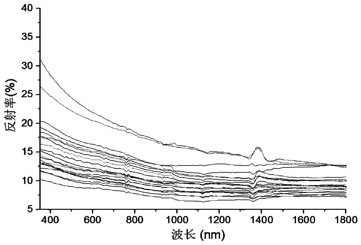 Anshan-style iron ore type determination method based on spectral features