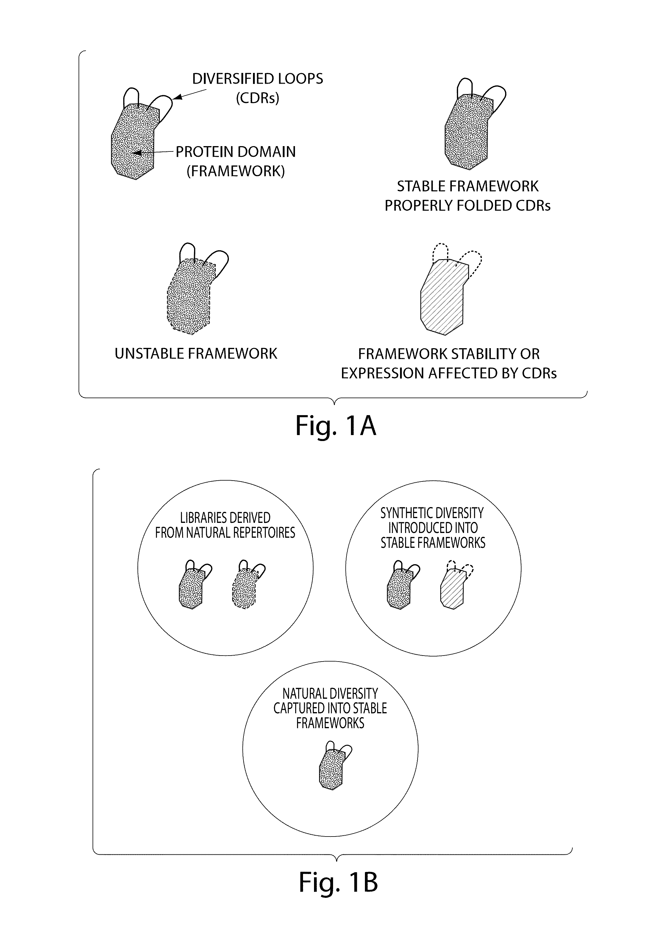 Synthetic polypeptide libraries and methods for generating naturally diversified polypeptide variants