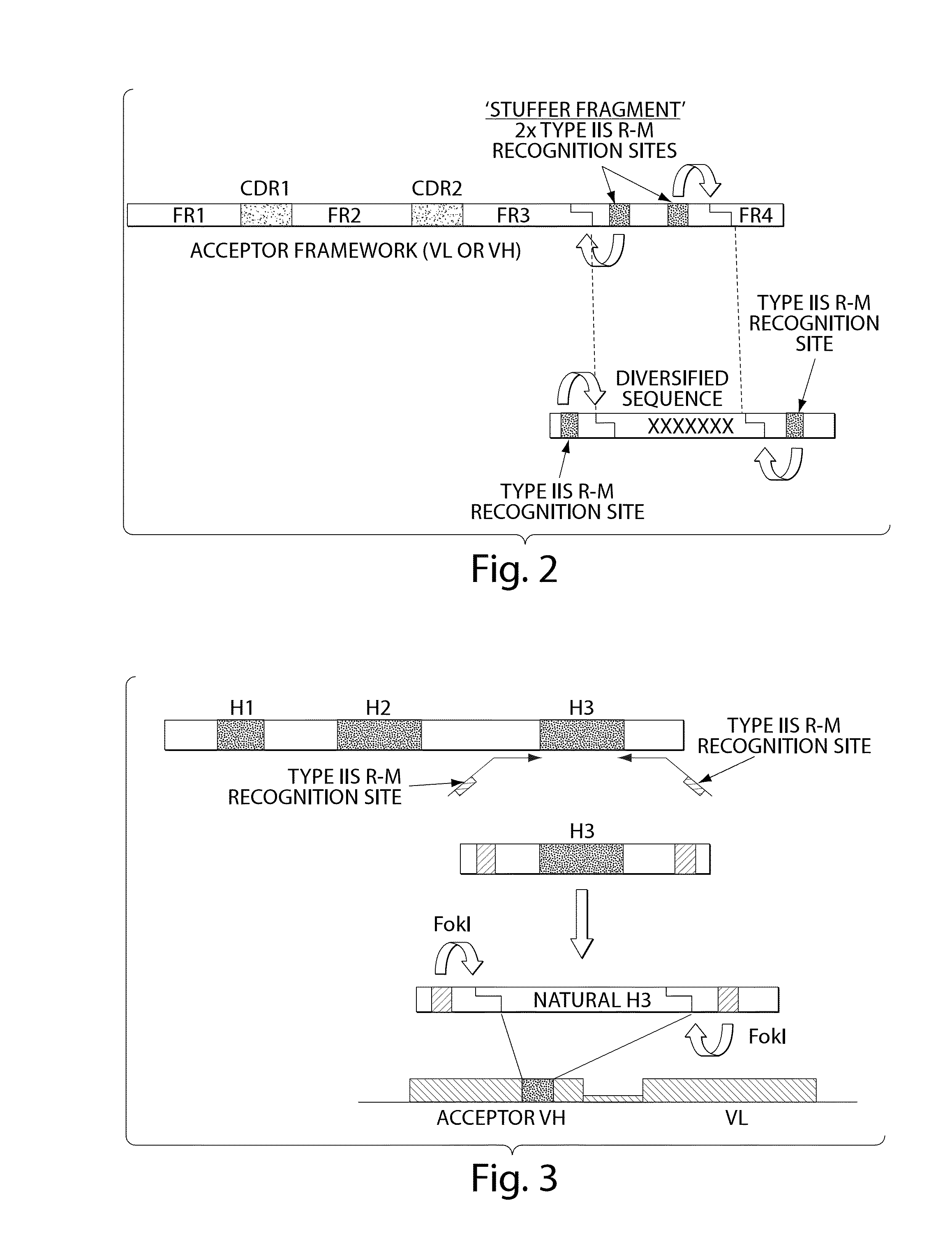 Synthetic polypeptide libraries and methods for generating naturally diversified polypeptide variants