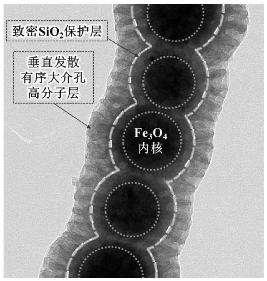 Magnetic nanorod with ordered large mesoporous polymer shell layer and synthesis method of magnetic nanorod