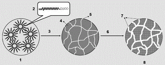 Hydrophilic super-macroporous polymer microsphere and preparation method thereof