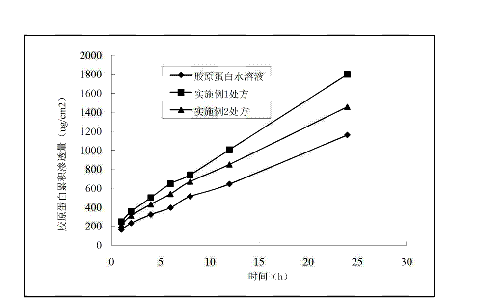 Collagen and squalane composition, preparations thereof, and preparation methods and applications of composition and preparations