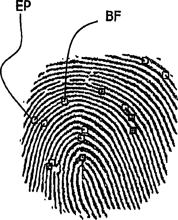 Biometrical identification device