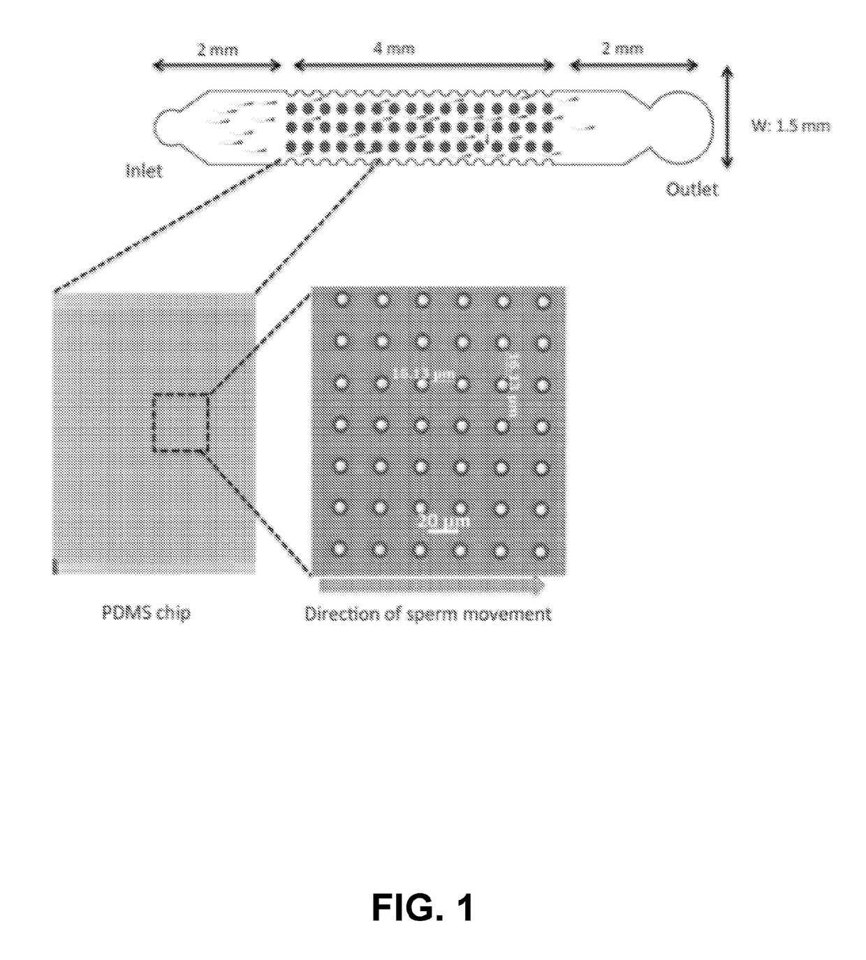 Micro-fluidic device for selective sorting of highly motile and morphologically normal sperm from unprocessed semen