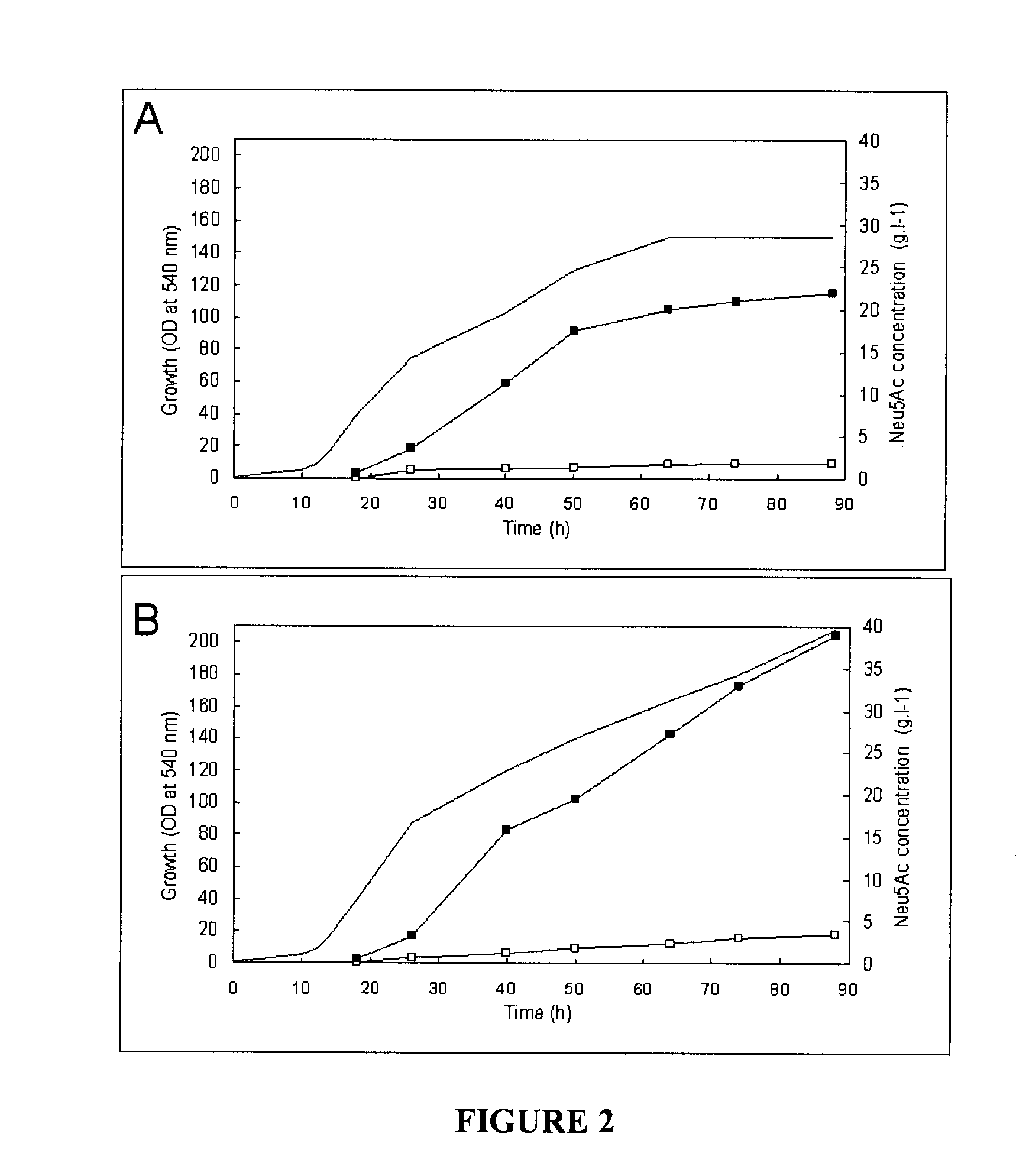High yield production of sialic acid (neu5ac) by fermentation