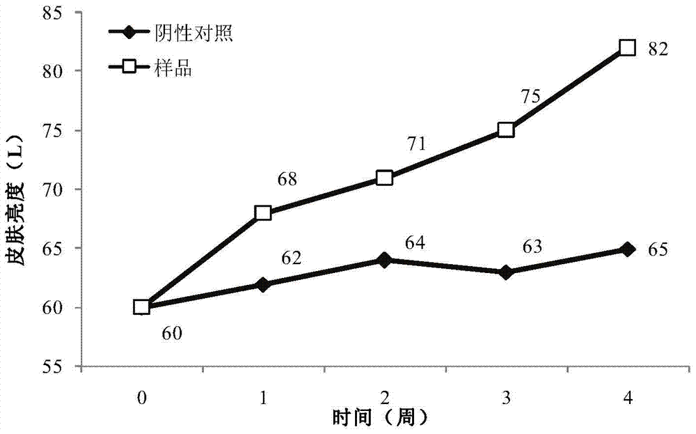 External Chinese medicine composition with skin care effect, skin care preparation and preparation method thereof