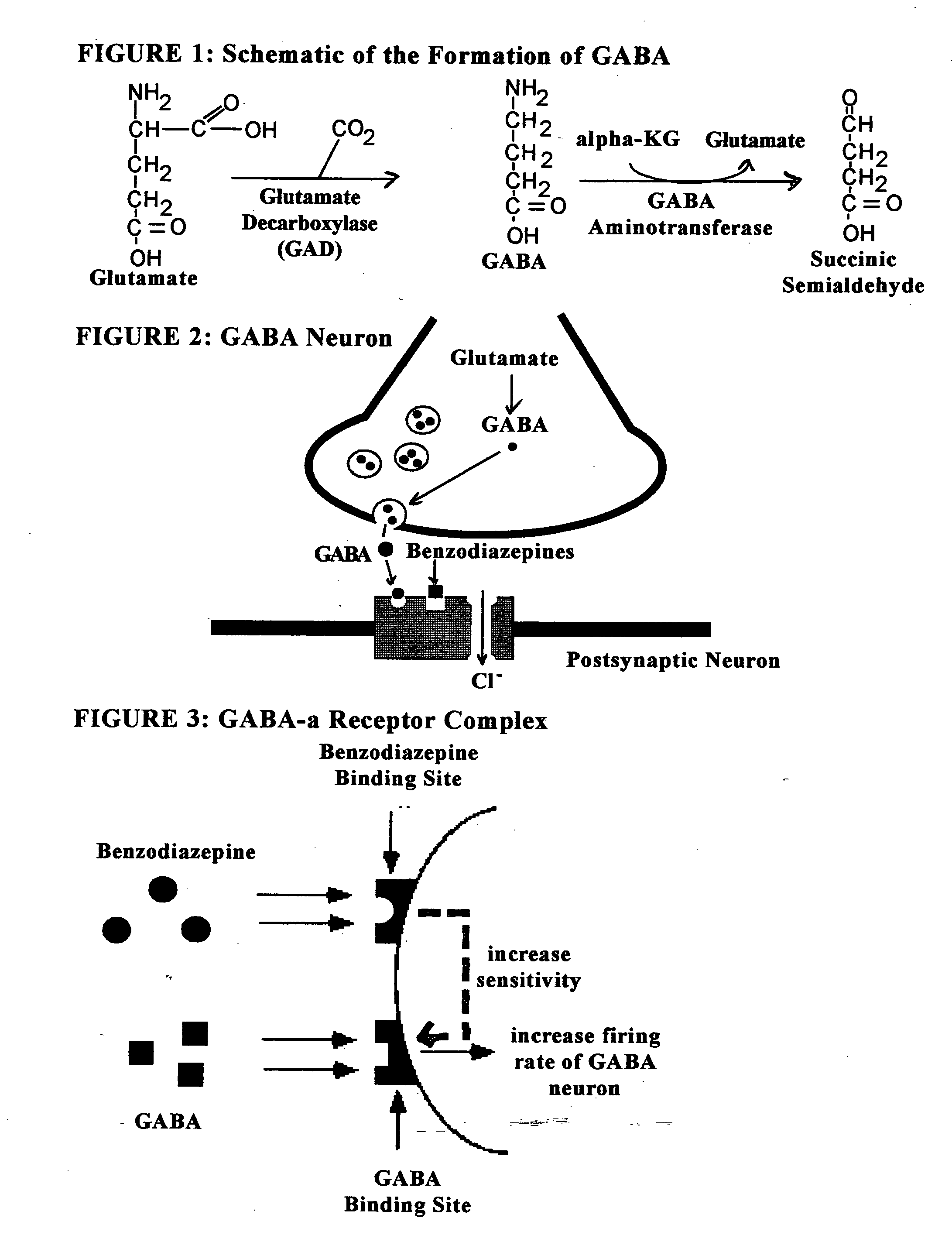 Enkephalinase inhibitor and GABA precursor loading as anti-anxiety compositions