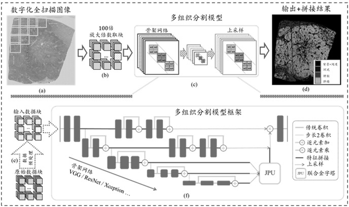 Medical image feature recognition prediction model