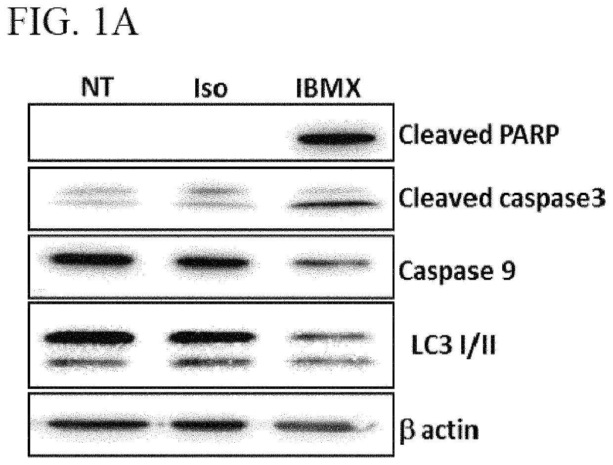 Methods for treating cancer using purine analogs by depleting intracellular ATP