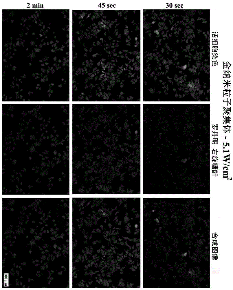 Method for preparing cells carrying exogenous molecules in photoinduced perforating mode, base material for preparing cells and cells
