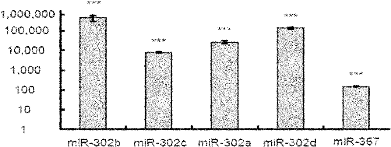 Method for applying miRNA clusters in changing cell fates