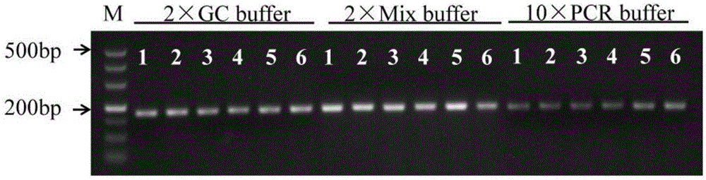 Molecular markers for identifying PHYB wild type and mutant of rice phytochrome gene