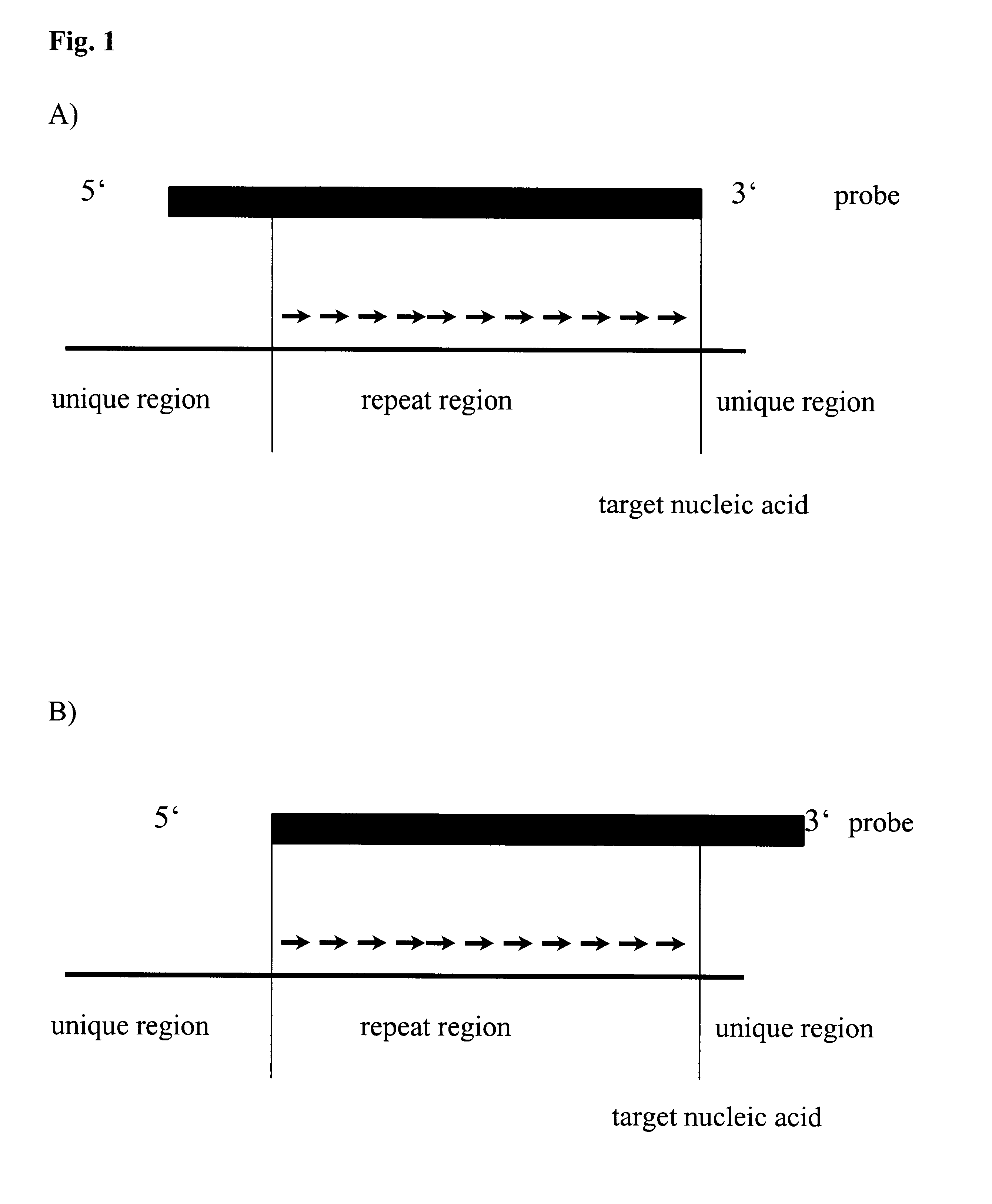 Method for melting curve analysis of repetitive PCR products