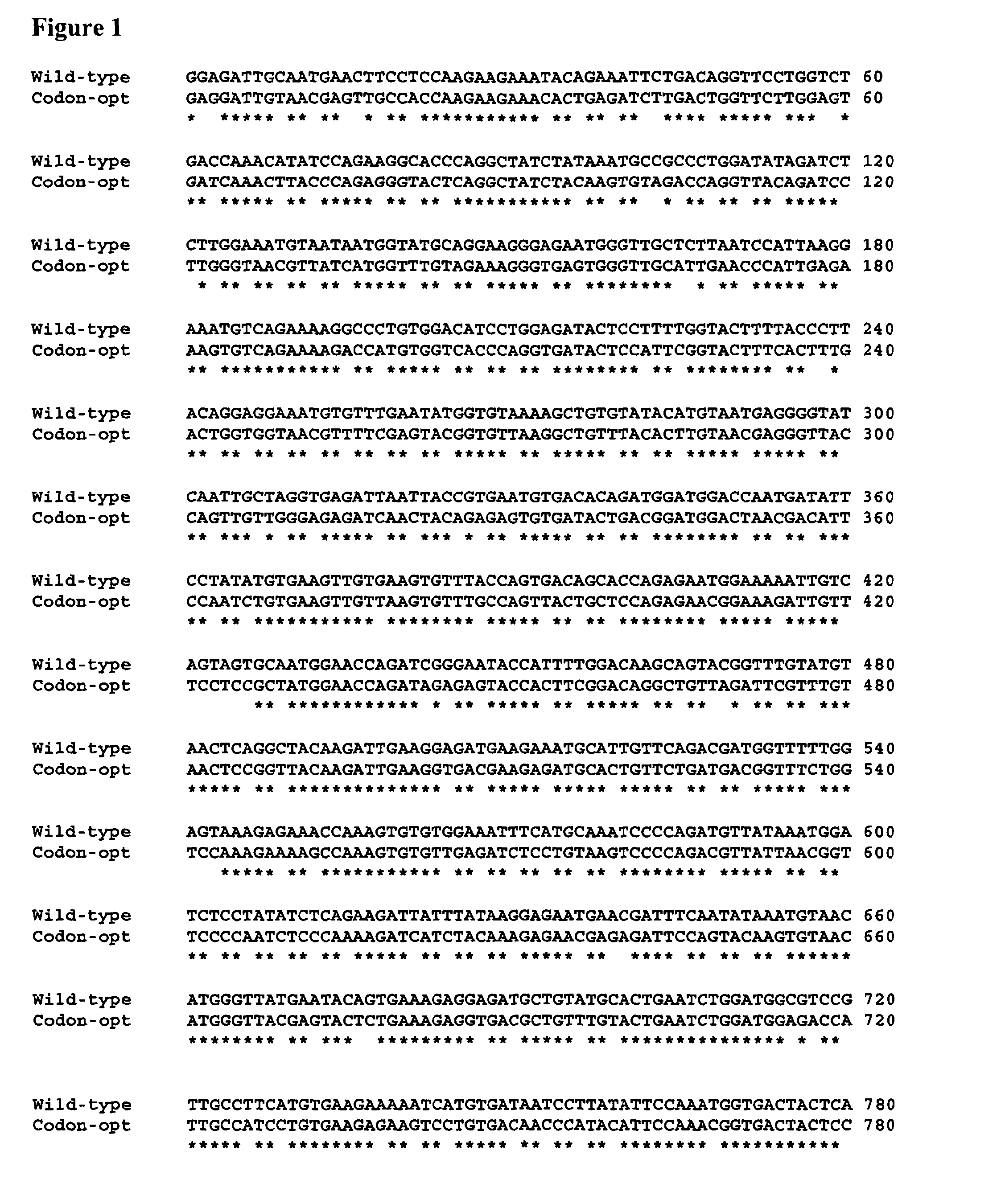 Recombinant codon optimised factor h