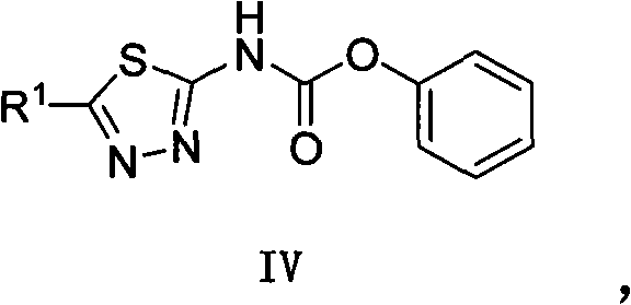 Asymmetric heterocyclic ring substituent urea compound and preparation method and application thereof