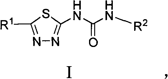 Asymmetric heterocyclic ring substituent urea compound and preparation method and application thereof