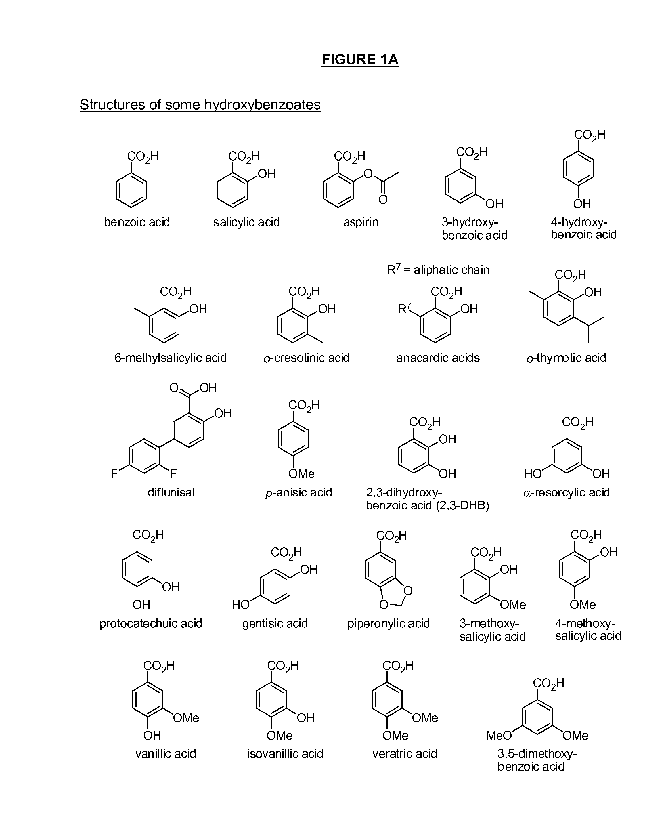 Benzoic acid, benzoic acid derivatives and heteroaryl carboxylic acid conjugates of hydromorphone, prodrugs, methods of making and use thereof