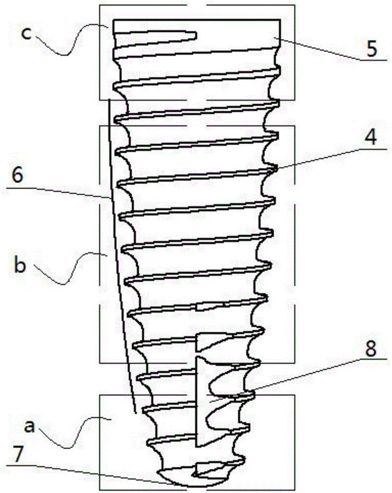 Oral implant with asymmetric thread structure