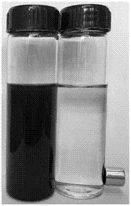 Method for removing tetracycline in wastewater by virtue of magnetic composite adsorbent