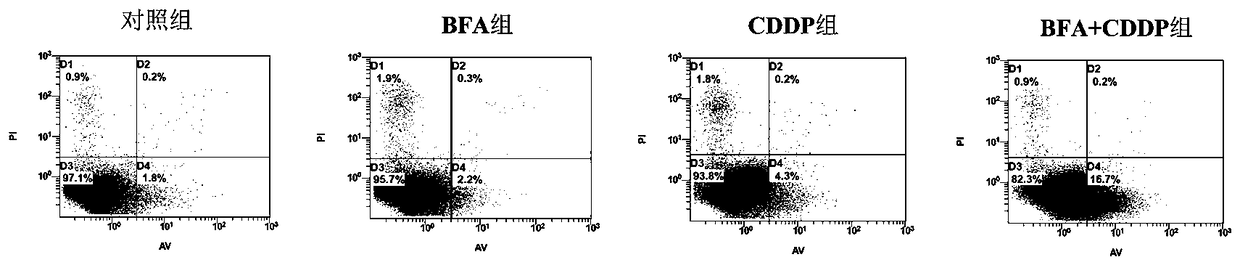 Medicine composition for inhibiting ovarian carcinoma cells