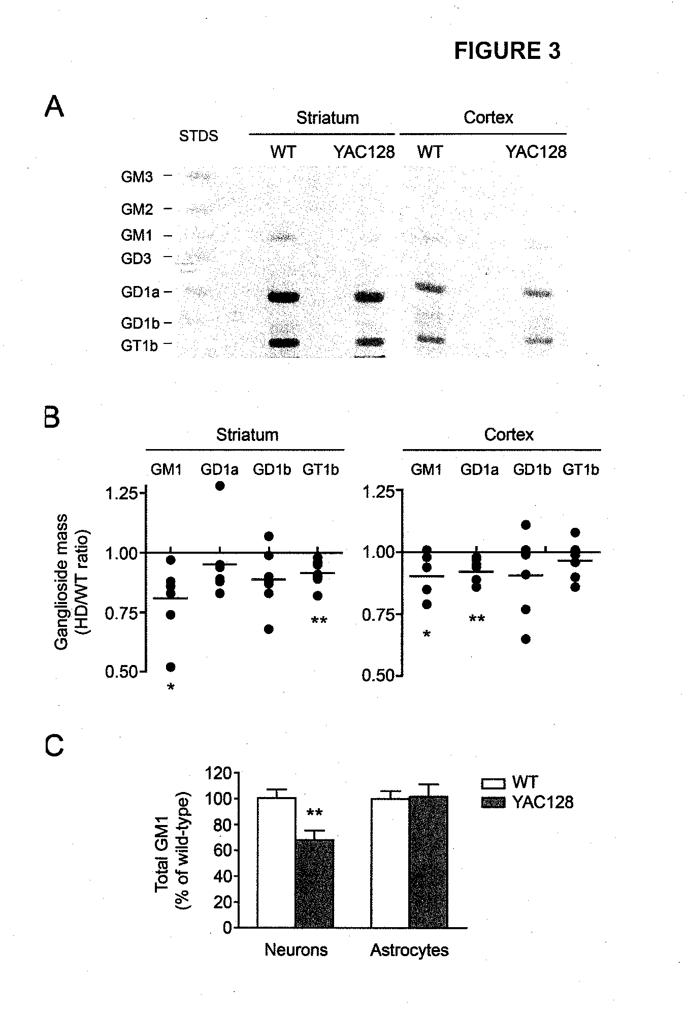 Neuroprotective ganglioside compositions for use in treating or diagnosing huntington's disease