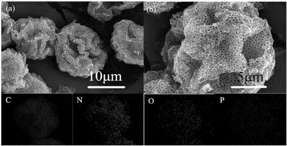 Nitrogen and phosphor co-doped hollow carbon sphere material with shell layer having grading macropore-mesoporous structure as well as preparation method and application thereof