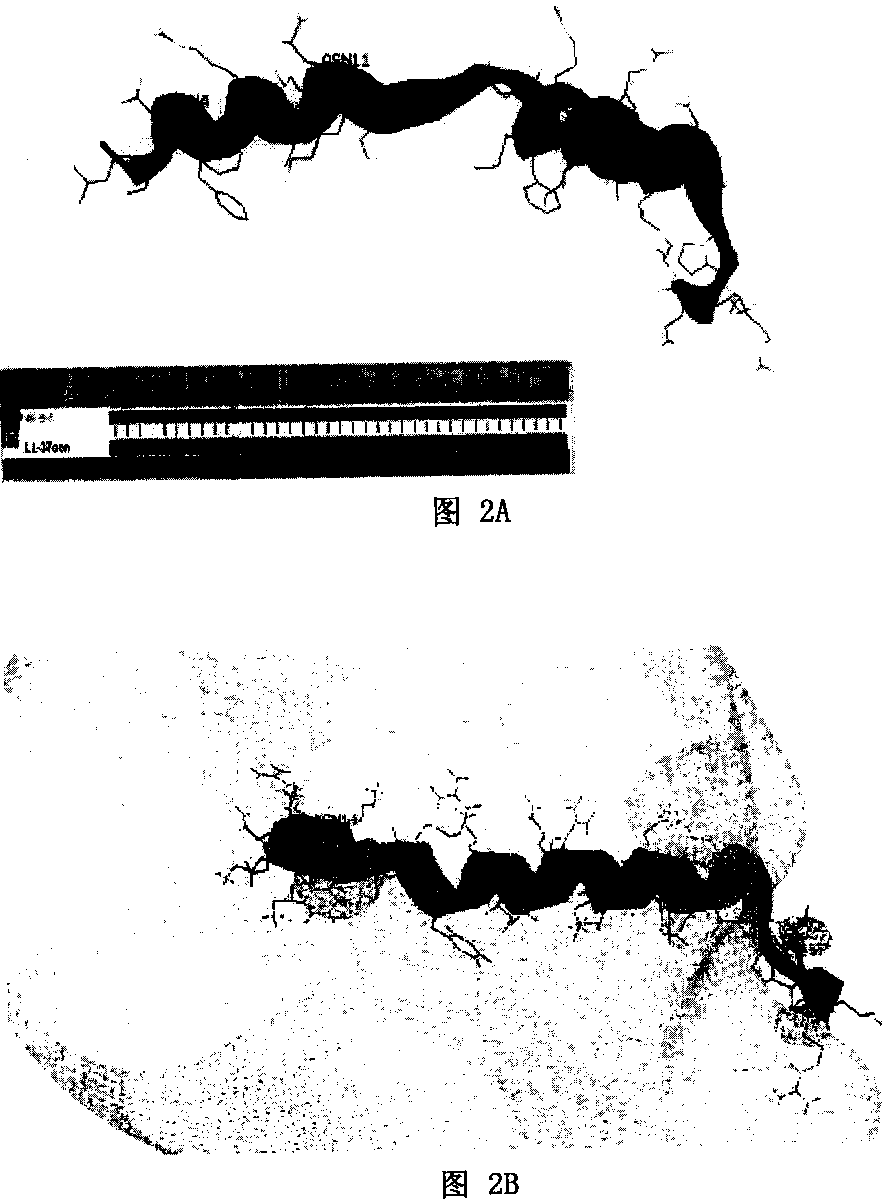 A plurality of reconstructing antibiotic peptide and preparation method and application thereof