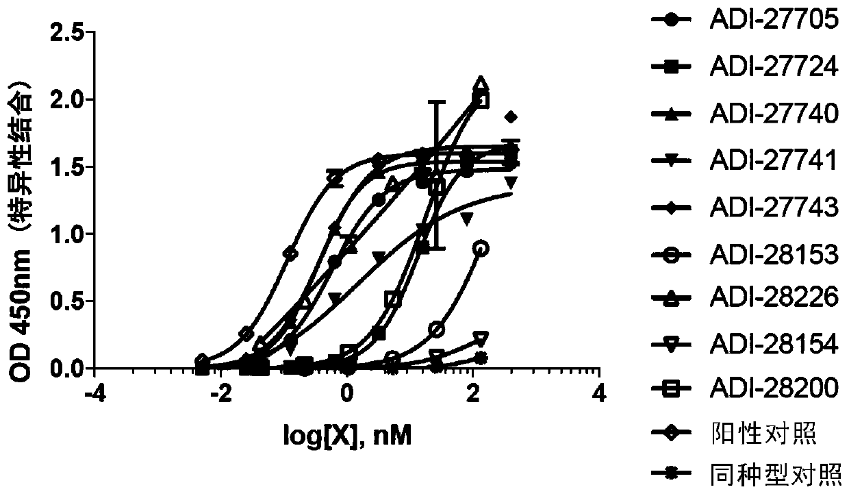 Proteins binding nkg2d, cd16 and a tumor-associated antigen