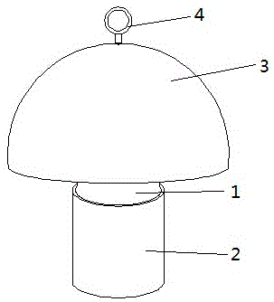 Drosophila trapping and killing container with liquid attractive toxicant